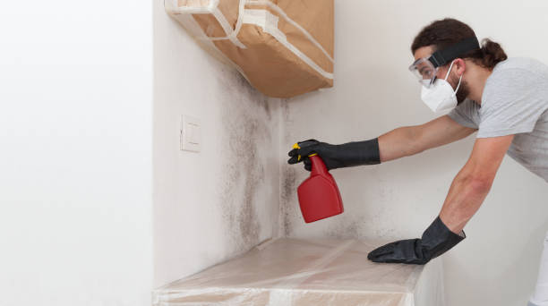 Professional Mold Inspection technician working in Mears, VA